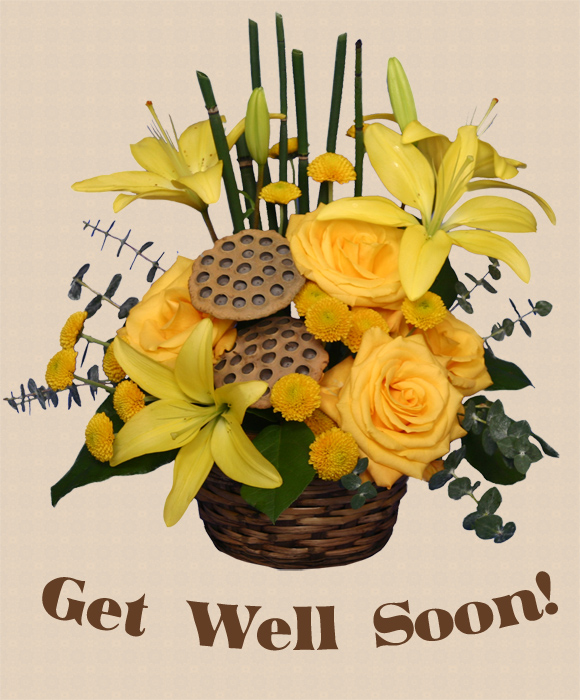 Get Well Soon Love Flower Shop Network