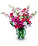 Try The "Thinking of You" Bouquet with Larkspur