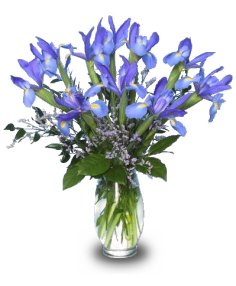 The color of violets inspires this gorgeous arrangement of iris.