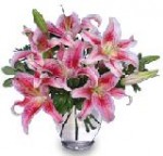 "Stunning Stargazers" Arrangement of Lilies