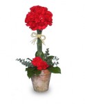 "Fiery Red Topiary" Closed Form Flowers