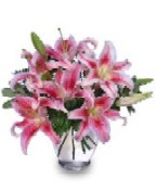 Picture of Stargazer Lilies in a vase.