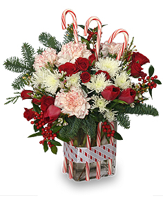 christmas flowers and gifts