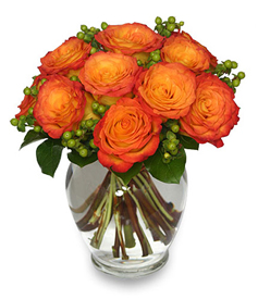 Orange Rose Arrangement