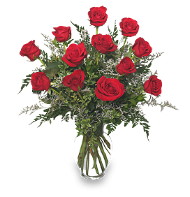 Classic Dozen Red Roses