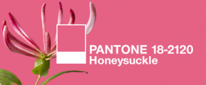 Pantone Color of the Year — Honeysuckle Pink