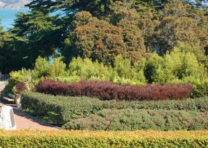 Golden Gate Bridge Garden