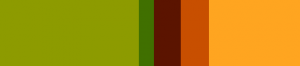  Earthy Summer Color Trends 2011