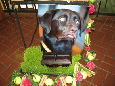 Pet Funeral Flowers to Memorialize Fido