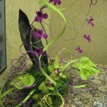 Orchids at the North Carolina State Florist Convention