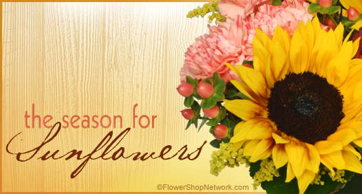 Season to Send Sunflowers