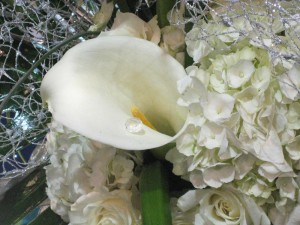 Diamond inside calla lily.