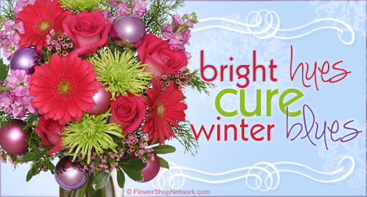 Cure the winter blues with colorful flowers