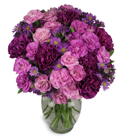 Purple Flowers For Valentines