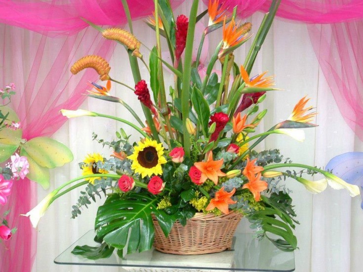 An exotic arrangement from Divine Ideas and Flowers For You in Edinburg, TX