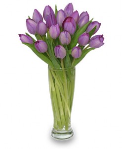 Amethyst Tulips