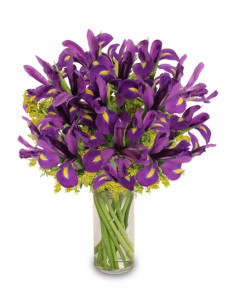 purple-heart-iris-vase.425