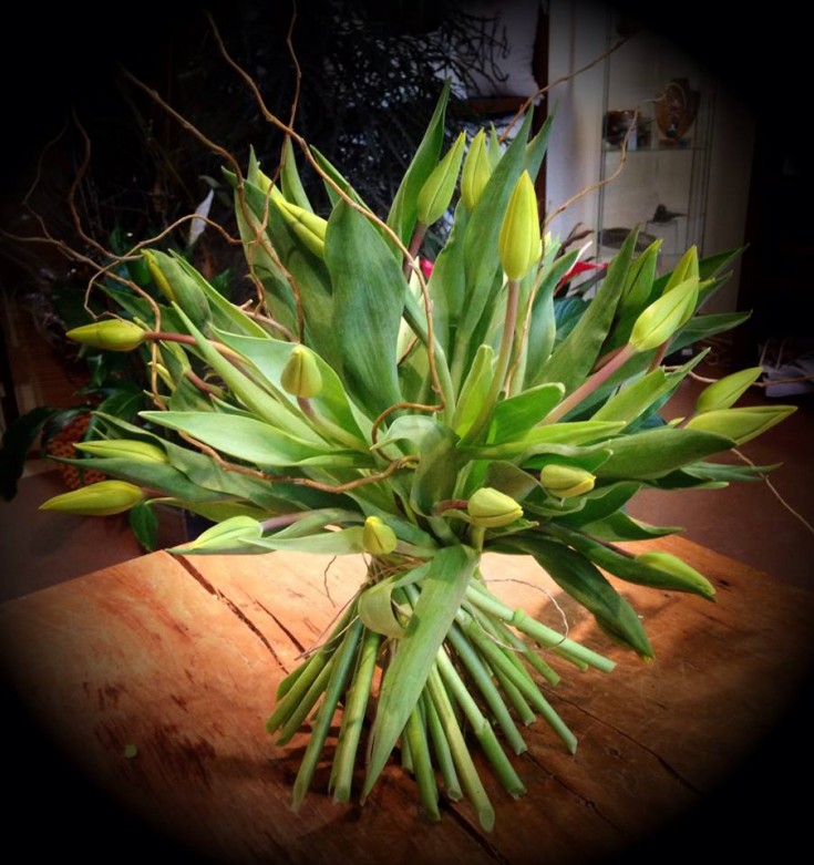 Tulip bouquet from Petals in Thyme in Wasaga Beach, ON