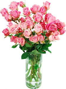 pink spray roses in vase