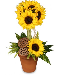 Pot O' Sunflowers