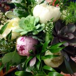 Succulents and peonies in a lush bridal bouquet from Frey Florist & Greenhouse in Providence, RI