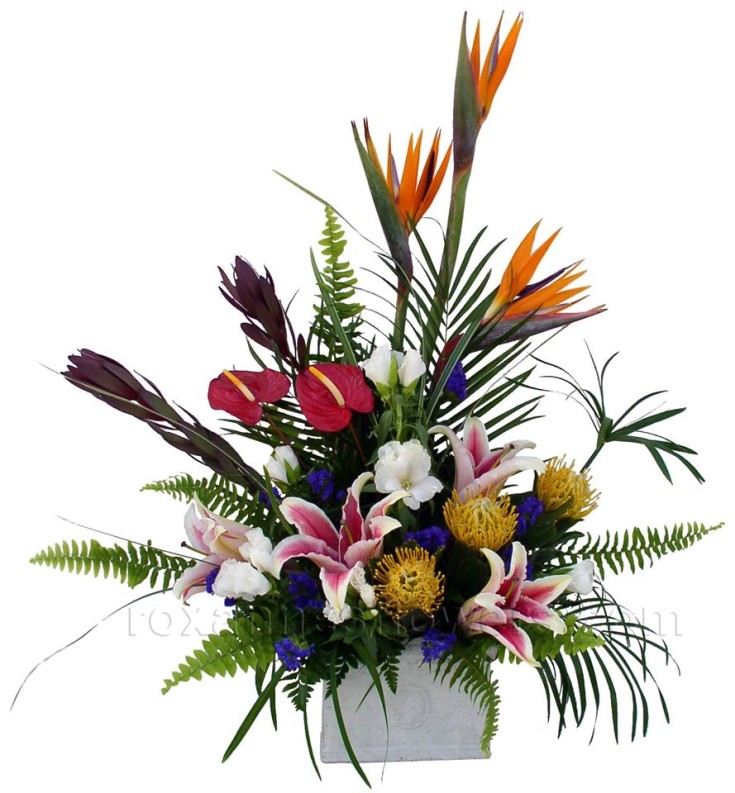 Modern and tropical from Roxanne's Flowers in Akron, PA