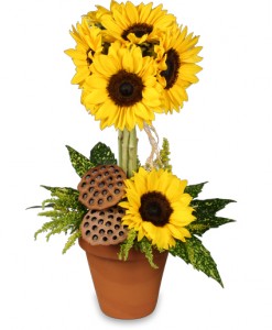 Pot O Sunflowers