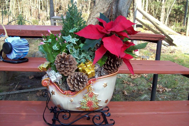 Christmas cheer from Sweet Briar Flower Shop in Galway, NY