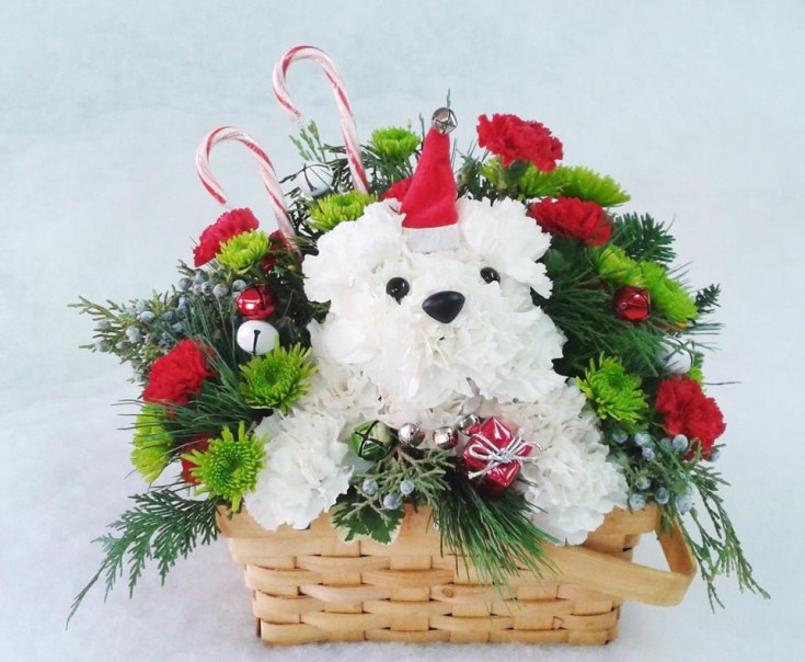 Jingle paws from Marshfield Blooms in Marshfield, MO