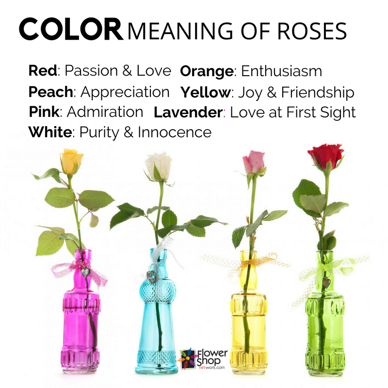 Color Of Roses Meaning 2 