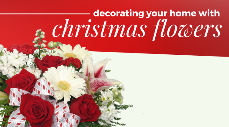 Flower delivery services you can order arrangements from for Christmas