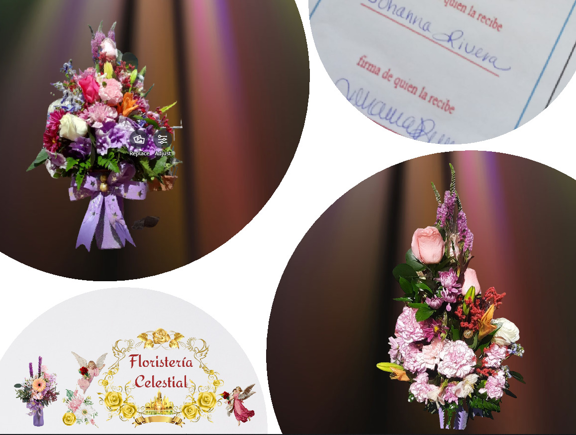 Arecibo Flowers | FLORISTERIA CELESTIAL (787) 373-4251 Arecibo Florist