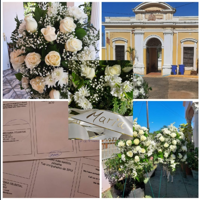 Arecibo Flowers | FLORISTERIA CELESTIAL (787) 373-4251 Arecibo Florist