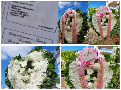 Arecibo Flowers | FLORISTERIA CELESTIAL (787) 373-4251 Arecibo Florist